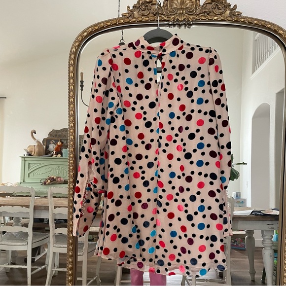 Saloni Mini Dress - Picture 5 of 9